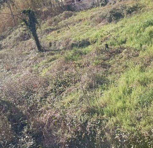 Terreno a Vado ligure in Via Santa Margherita - Foto 2