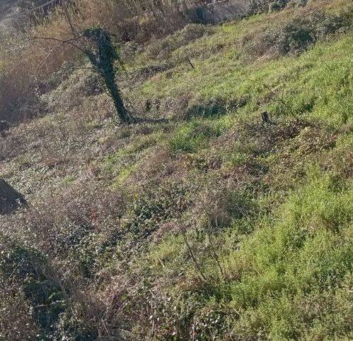 Terreno a Vado ligure in Via Santa Margherita - Foto 3