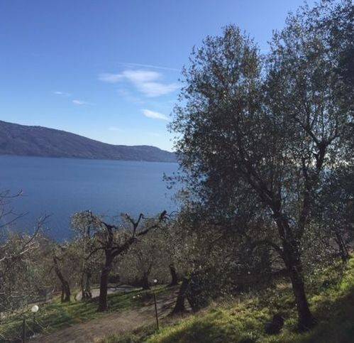 Terreno a Gargnano - Foto 4