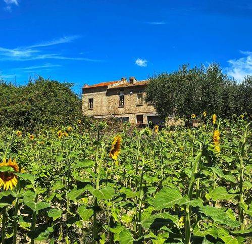 Rustico / casale a Carassai - Foto 5