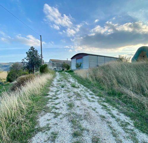 Rustico / casale a Offida - Foto 2
