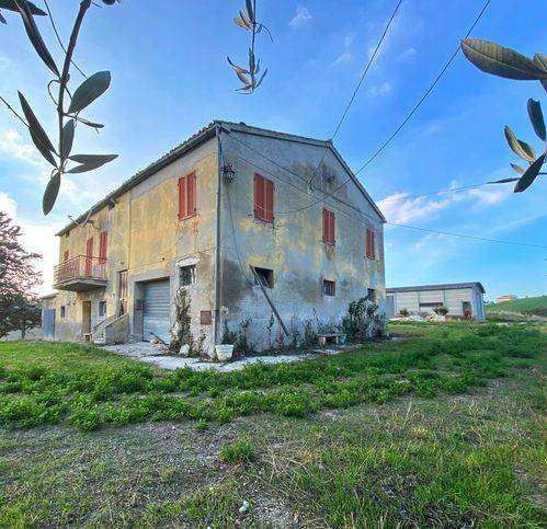 Rustico / casale a Offida - Foto 3