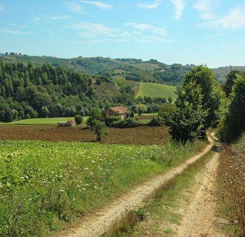 Rustico / casale a Offida in Contrada Ciafone 61 - Foto 2