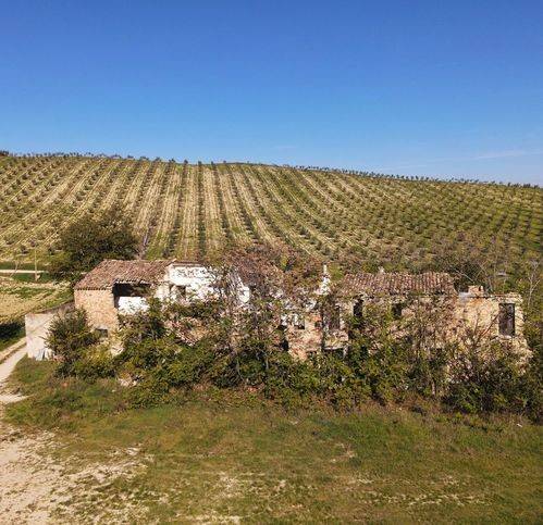Rustico / casale a Castignano in Contrada San Venanzo - Foto 2