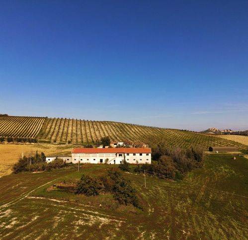 Rustico / casale a Castignano in Contrada San Venanzo - Foto 5