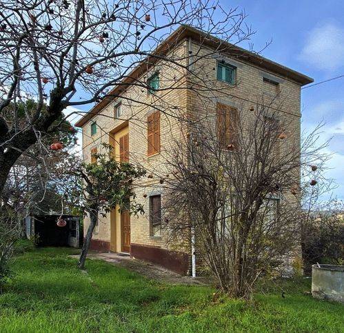 Rustico / casale a Offida - Foto 4