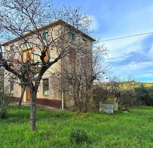 Rustico / casale a Offida - Foto 5