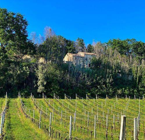 Rustico / casale a Massignano in Santa Giuliana - Foto 3