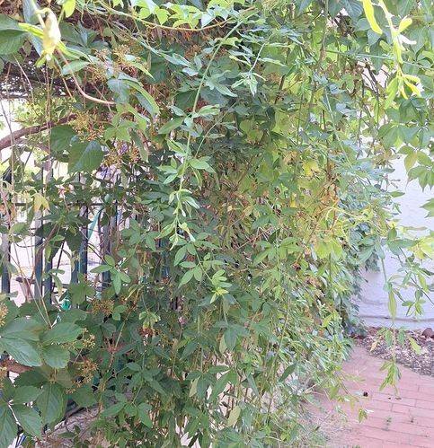 Appartamento a Motta san giovanni in Via Vecchia Provinciale 9 - Foto 2