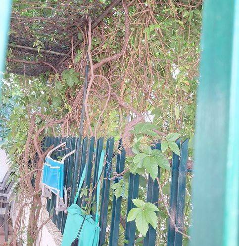 Appartamento a Motta san giovanni in Via Vecchia Provinciale 9 - Foto 3