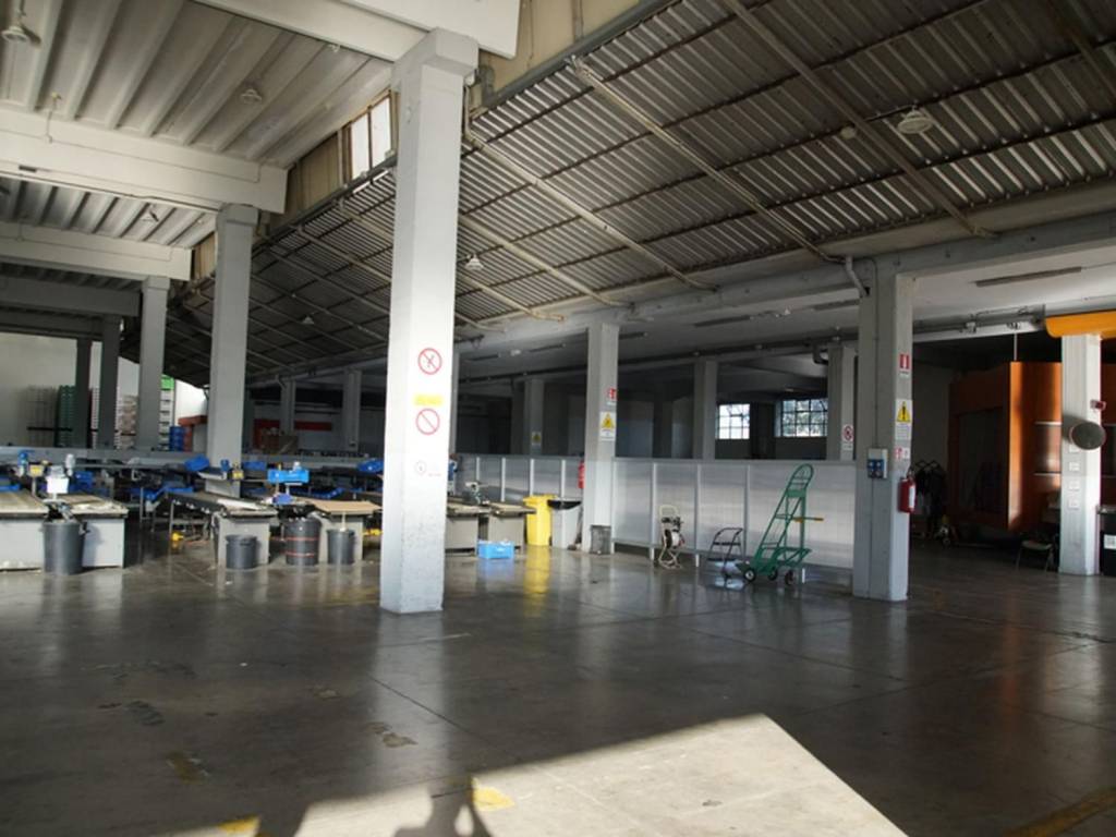 Immobile a Fondi in Via Antonio Salandra, 04022 Fondi LT, Italia - Foto 3