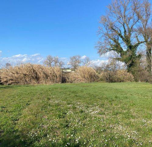 Terreno a Orte in Via Camerano - Foto 2