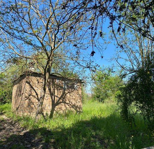 Terreno a Orte in Via Camerano - Foto 3