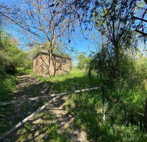 Terreno a Orte in Via Camerano - Foto 4