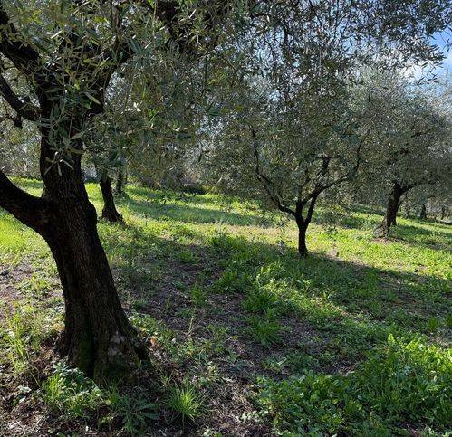 Terreno a Cori - Foto 2