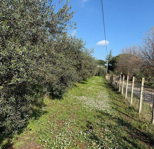 Terreno a Cori - Foto 3