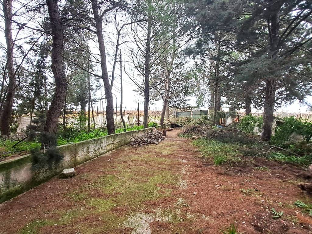 Villa a Adelfia in Contrada Piscina di Suso - Foto 3