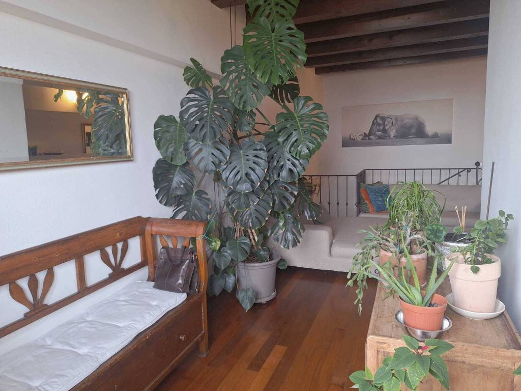 Appartamento a Rimini - Foto 3