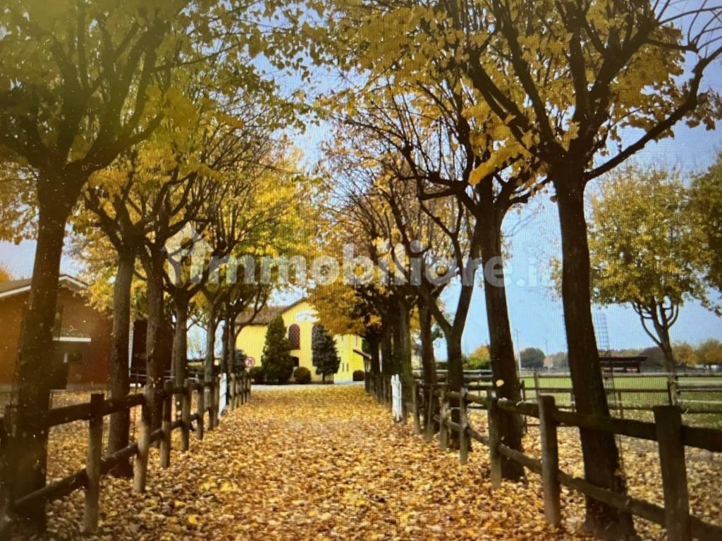 Rustico / casale a Orbassano - Foto 2