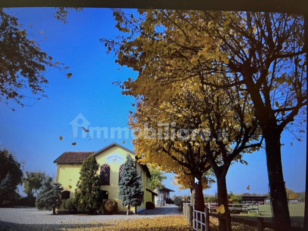 Rustico / casale a Orbassano - Foto 3