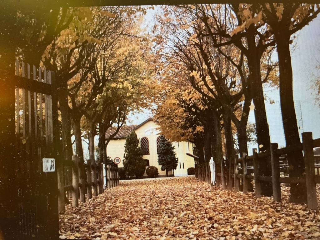 Rustico / casale a Orbassano - Foto 4