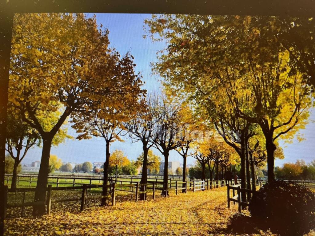 Rustico / casale a Orbassano - Foto 5