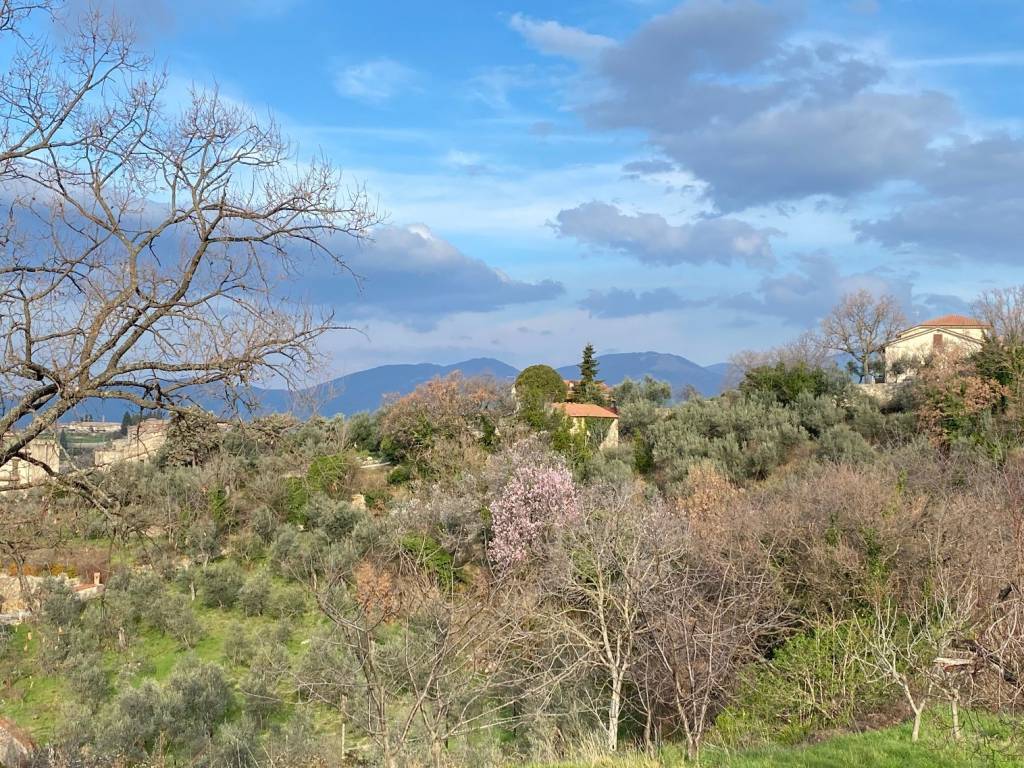 Terreno a Casaprota in Via Capo le Case - Foto 4