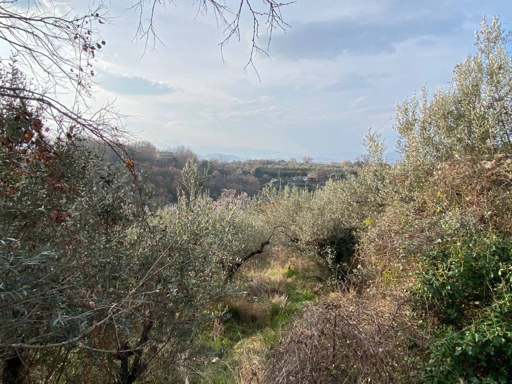 Terreno a Casaprota in Via Capo le Case - Foto 5