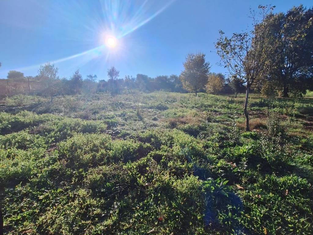 Terreno a Sezze in Via Campo Cervino - Foto 2