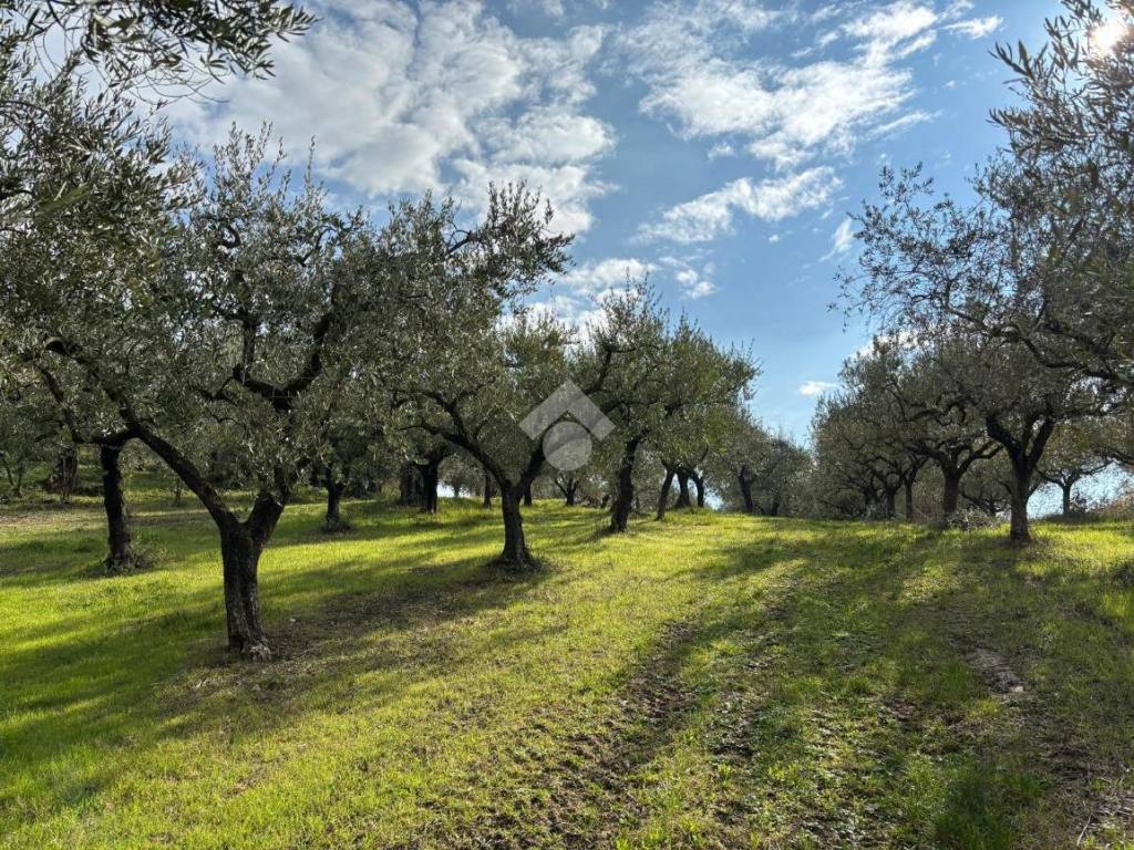 Terreno a Sant'agata de' goti in Frazione Presta - Foto 2