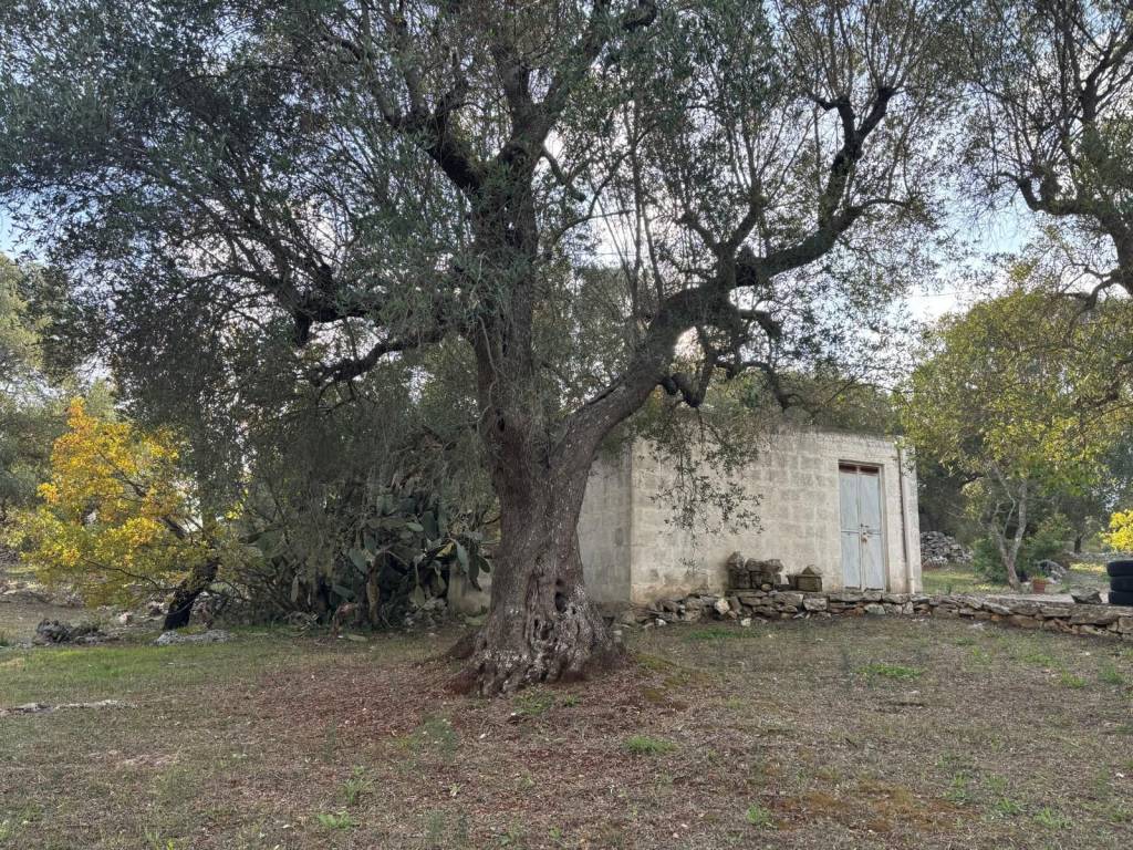 Rustico / casale a Ceglie messapica in Contrada Pisciacalze - Foto 2