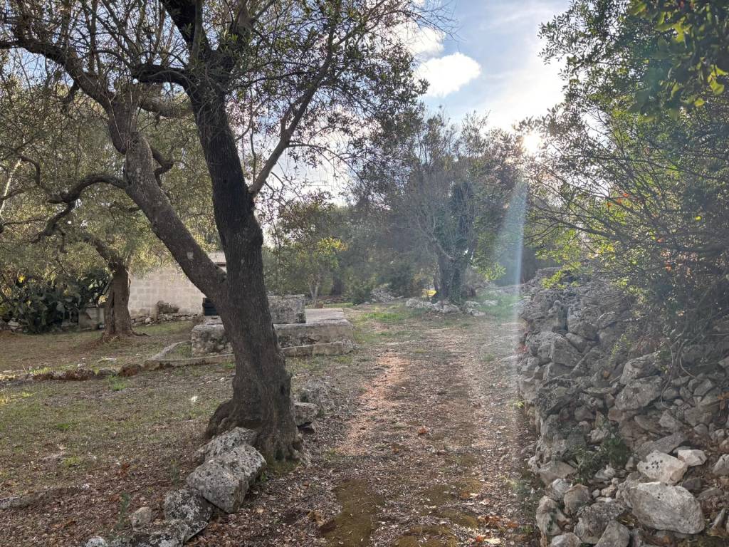 Rustico / casale a Ceglie messapica in Contrada Pisciacalze - Foto 3
