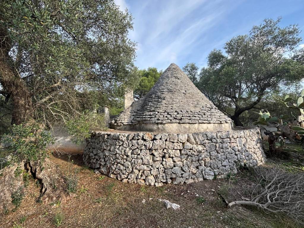 Rustico / casale a Ceglie messapica in Contrada Pisciacalze - Foto 4