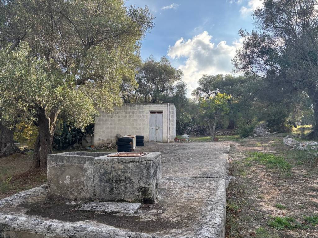 Rustico / casale a Ceglie messapica in Contrada Pisciacalze - Foto 5