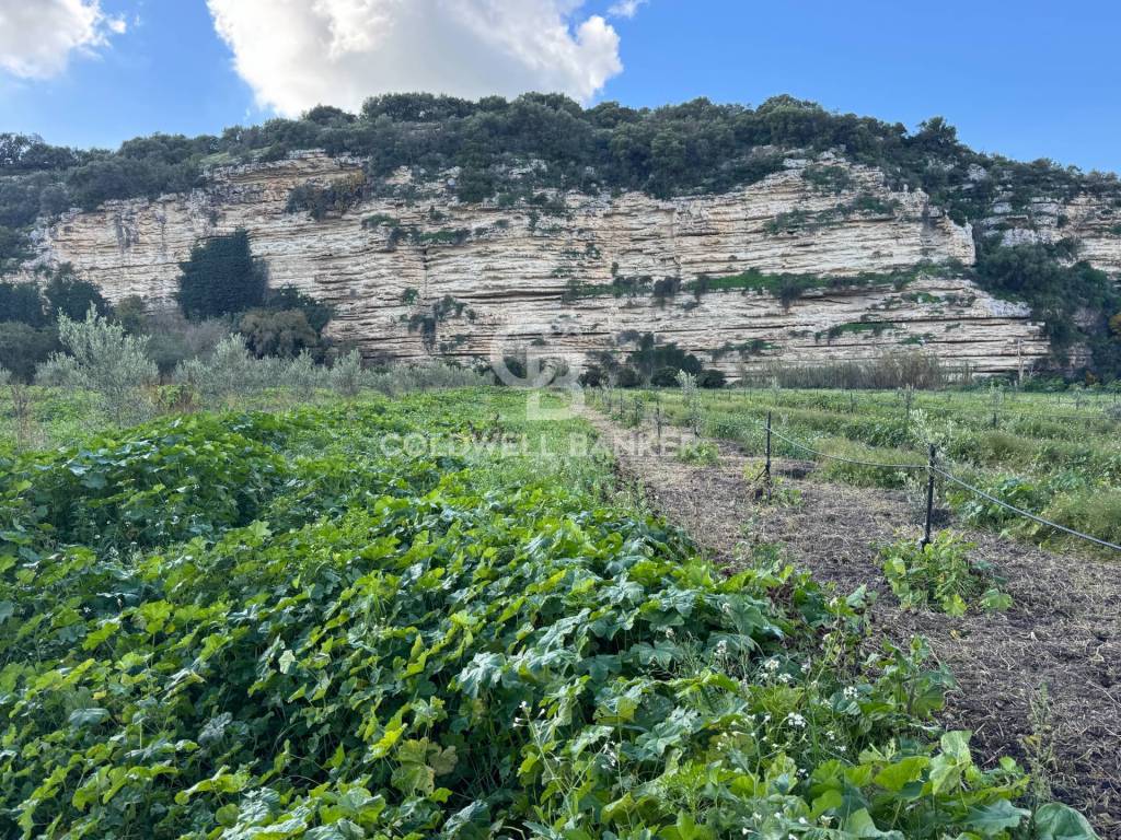 Terreno a Ragusa in CONTRADA PAOLINA - Foto 2