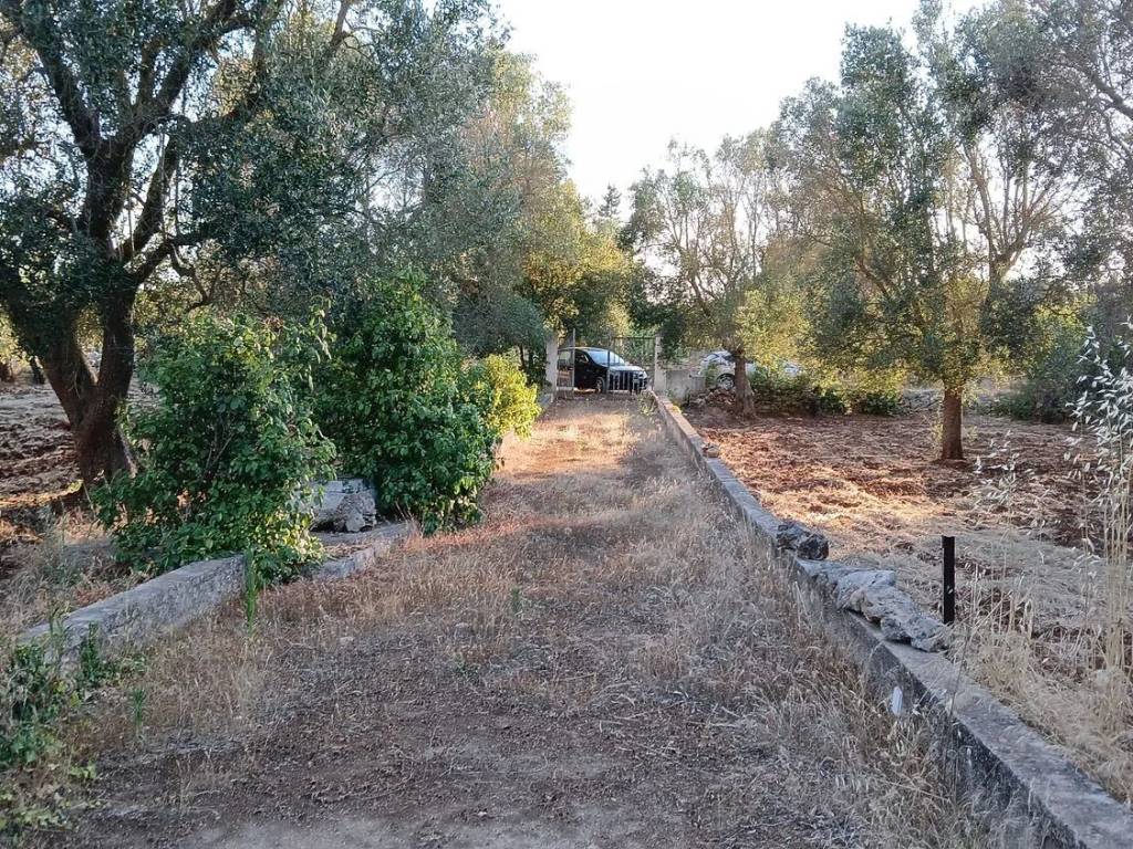 Rustico / casale a Ceglie messapica in Contrada Sardella No Number - Foto 3