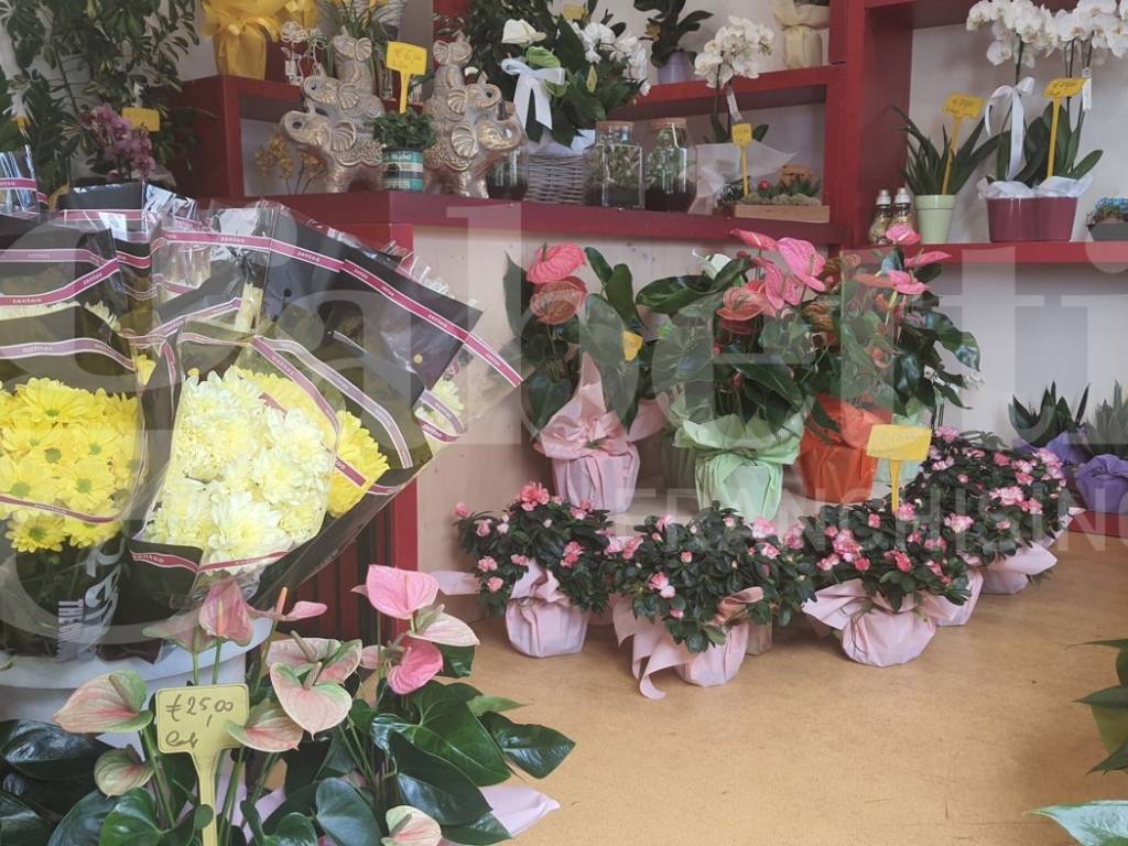 Immobile a Cividale del friuli in via Vecchia di Udine, 1 - Foto 3