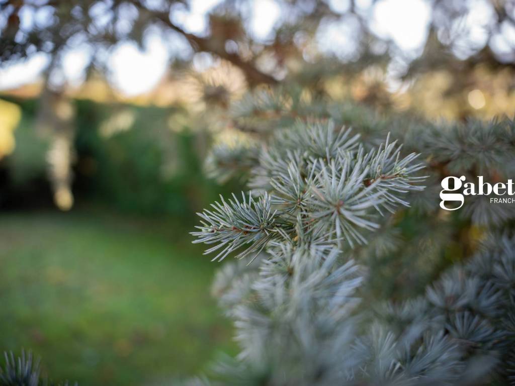 Appartamento a Montevecchia in Via San Francesco D'Assisi, 36 - Foto 4