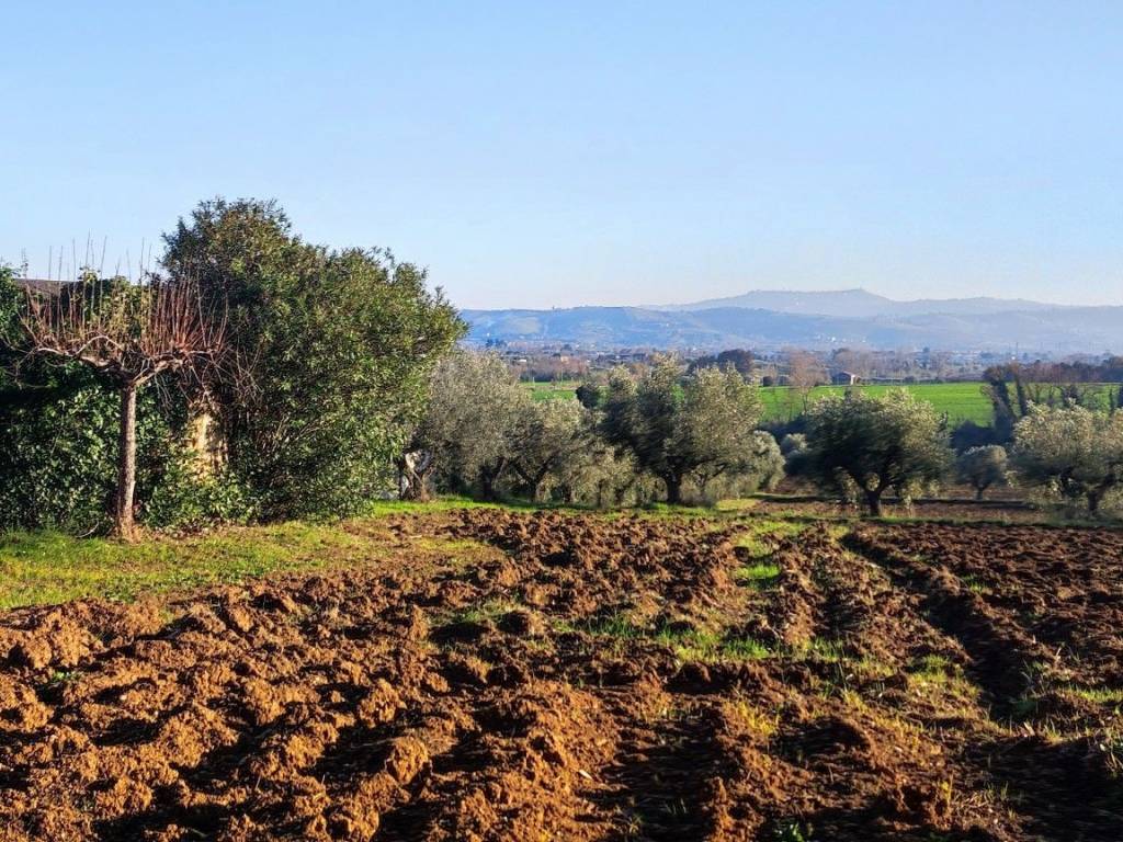 Terreno a Giulianova in Via per Mosciano, 115 - Foto 2