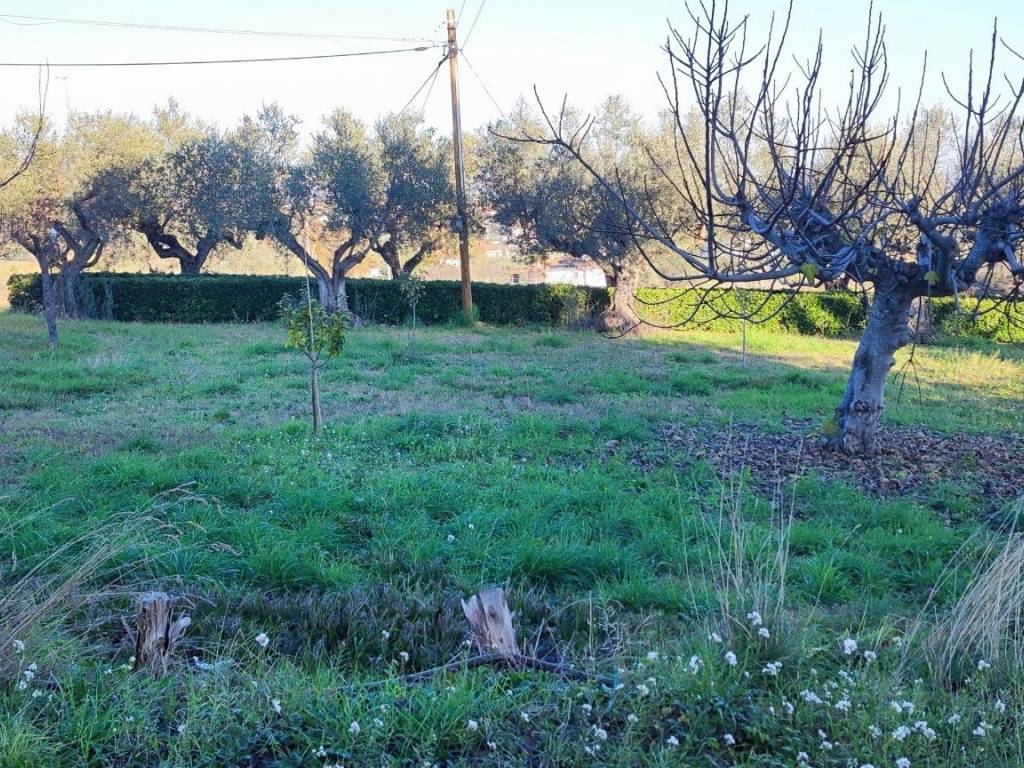 Terreno a Giulianova in Via per Mosciano, 115 - Foto 4