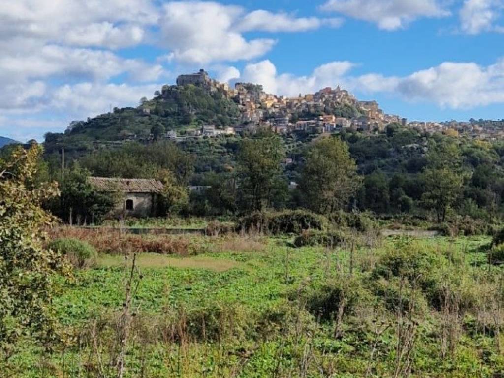 Terreno a Castiglione di sicilia in Via Abate Coniglio, 48 - Foto 2