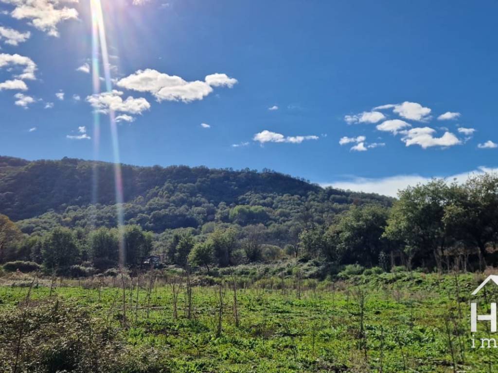 Terreno a Castiglione di sicilia in Via Abate Coniglio, 48 - Foto 4