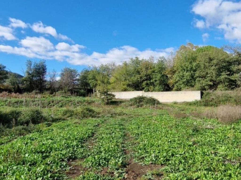 Terreno a Castiglione di sicilia in Via Abate Coniglio, 48 - Foto 5
