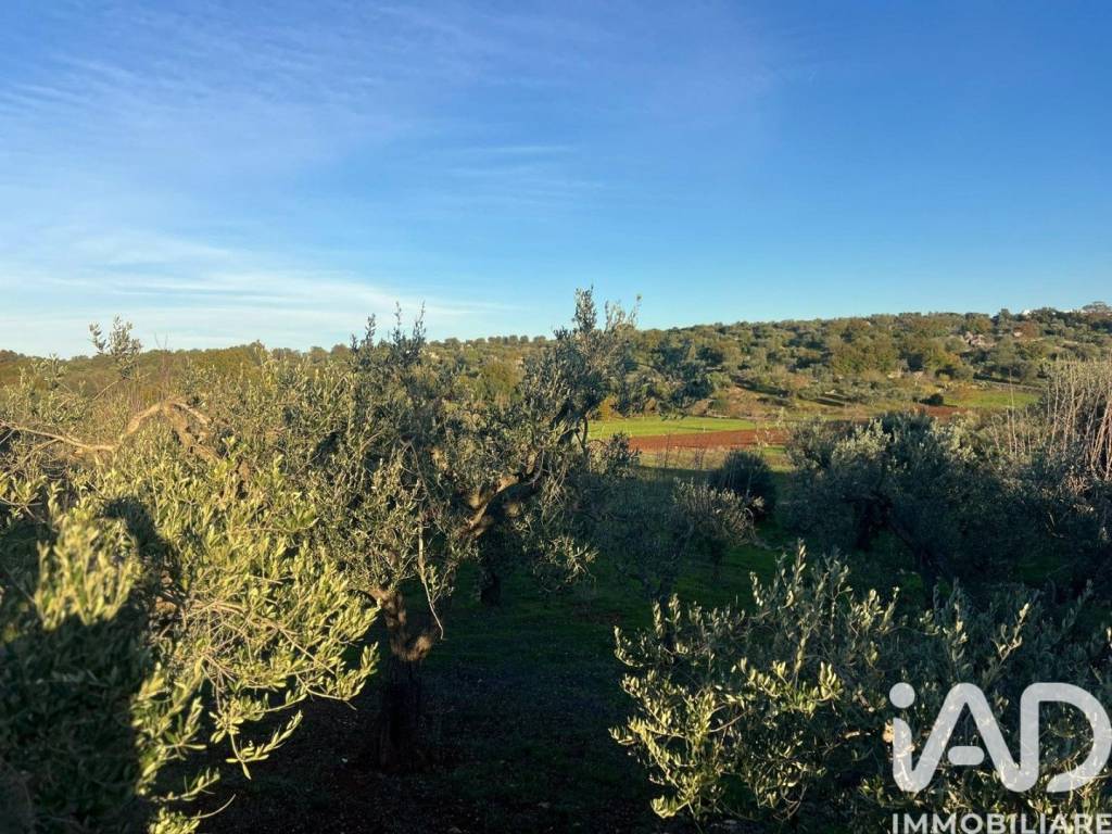 Terreno a Ostuni in Strada SAN GALARE - Foto 2