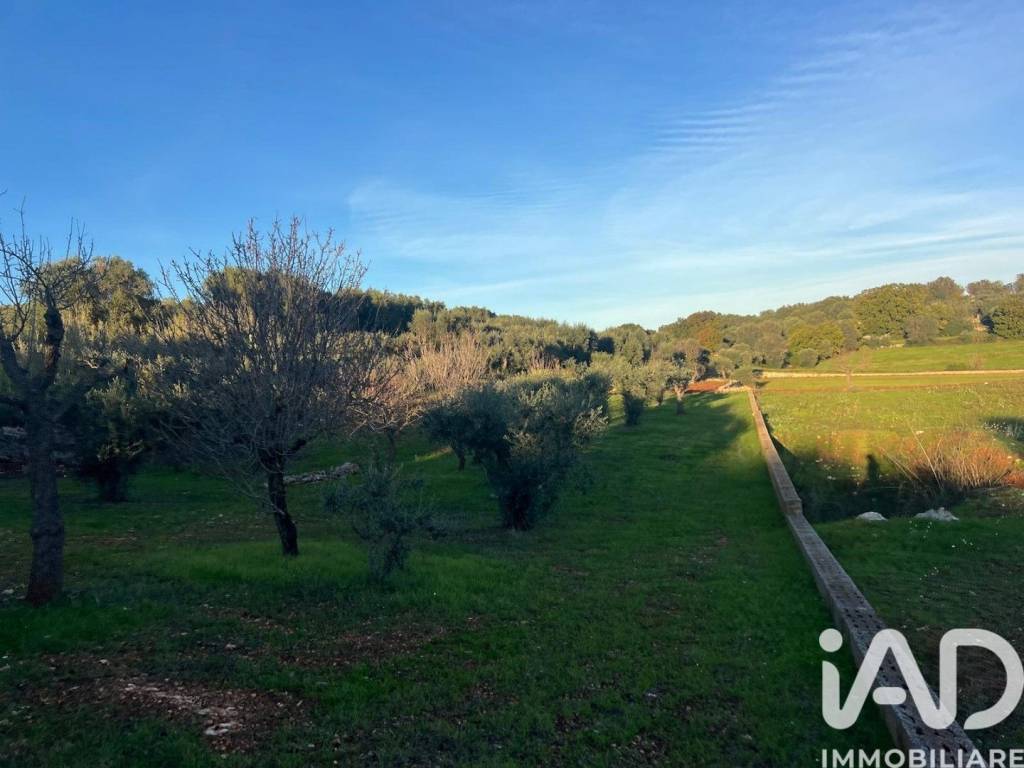 Terreno a Ostuni in Strada SAN GALARE - Foto 3