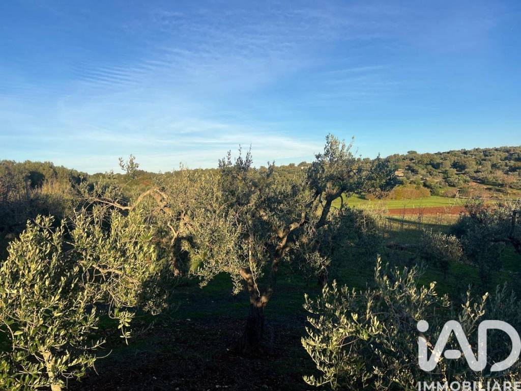 Terreno a Ostuni in Strada SAN GALARE - Foto 5