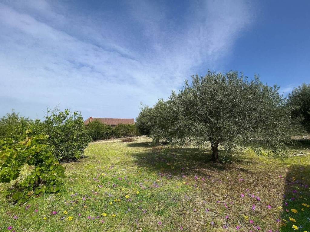 Villa a Caltanissetta in Contrada Bifaria - Foto 2