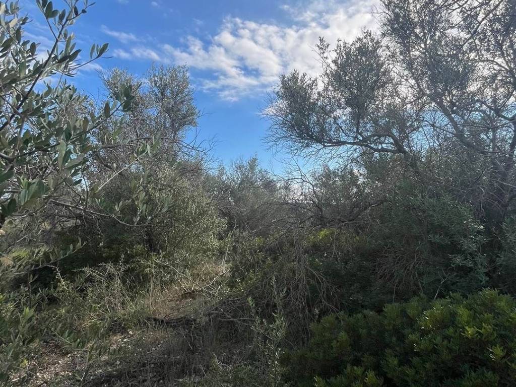 Terreno a Noto in Contrada Agliastro - Foto 2