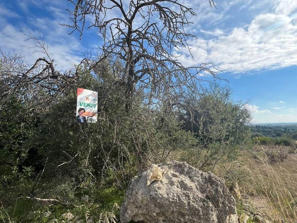 Terreno a Noto in Contrada Agliastro - Foto 3