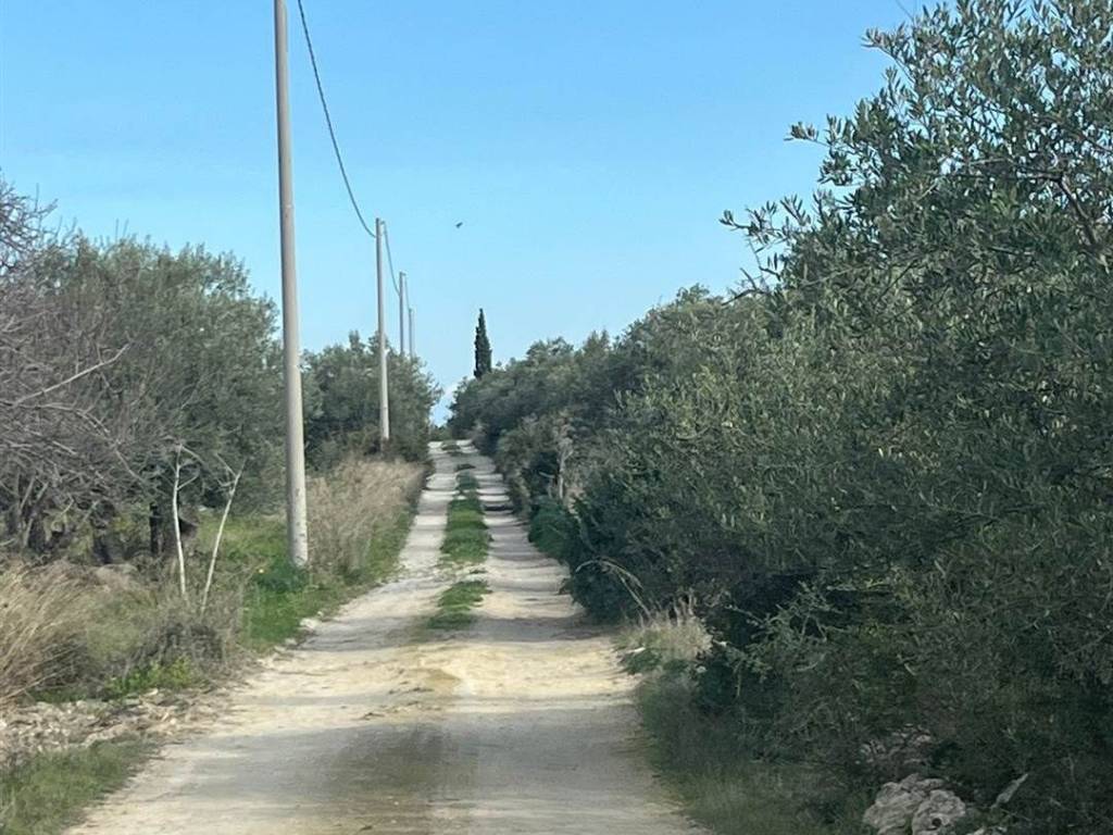 Terreno a Noto in Contrada Agliastro - Foto 4